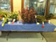 plants-table