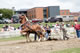 double-horsepull