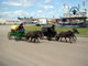 mini-chuckwagon2