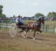 single-prancer