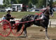 single-red-wagon