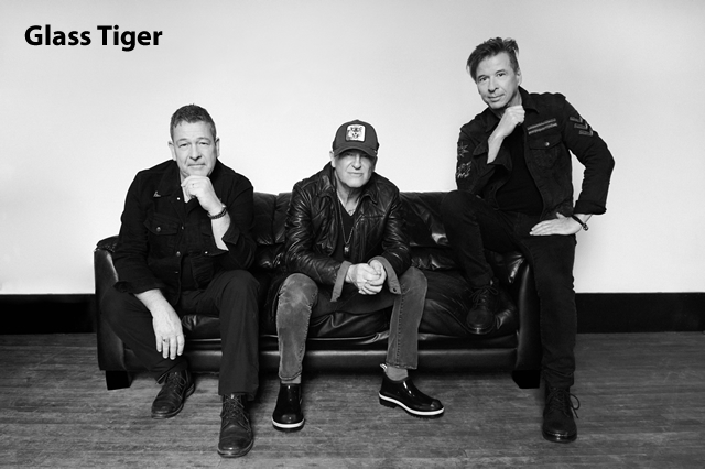 Glass Tiger