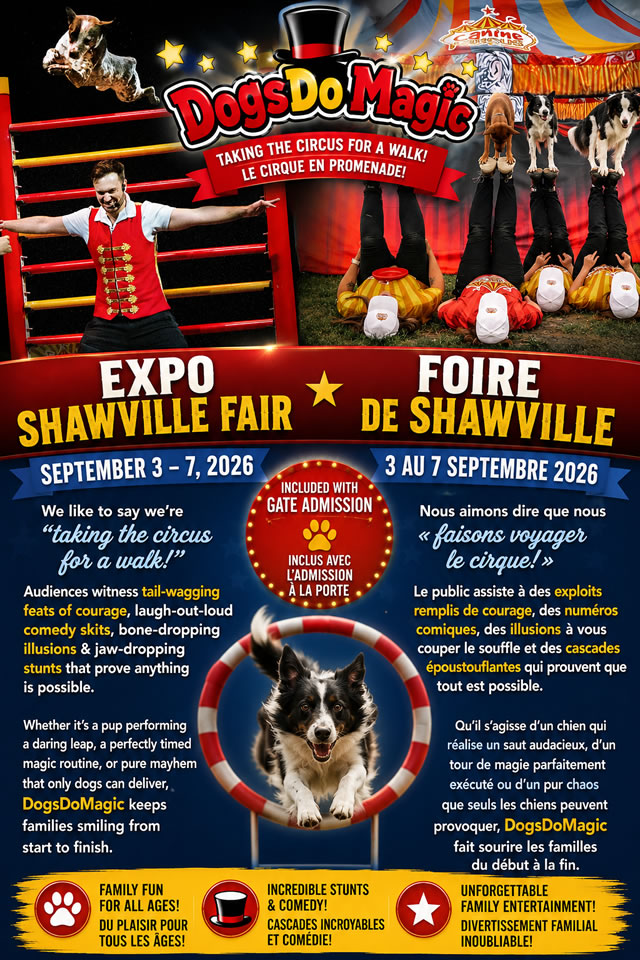 Canine Circus